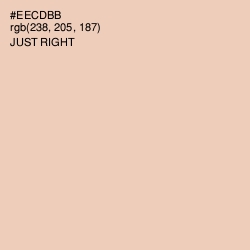 #EECDBB - Just Right Color Image